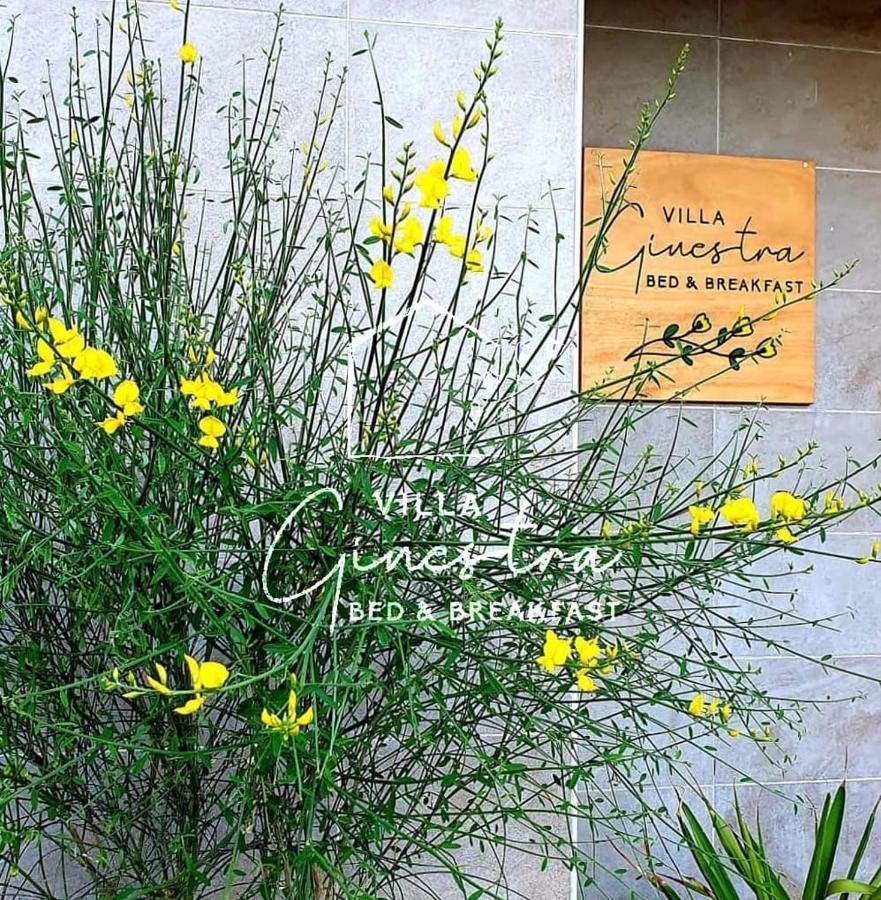 B&B Villa Ginestra Pescara Exterior photo